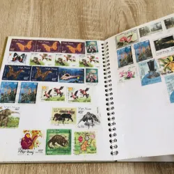 SỔ SƯU TẦM TEM – CHO NGƯỜI ĐAM MÊ SƯU TẦM 995207