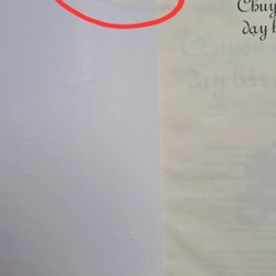 Con mèo dạy hải âu bay - Luis Sepúlveda 503861