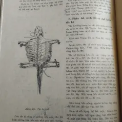 Những cây thuốc và vị thuốc Việt Nam.
Tác giả: Đỗ Tất Lợi.
 761616