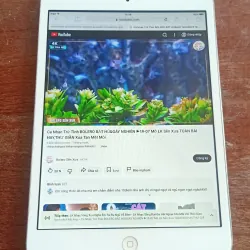 Ipad mini 1,đọc hết tin nhé 969750