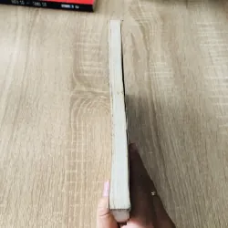 99 ĐIỀU KHÔNG ĐÁNG BẬN TÂM 1020320