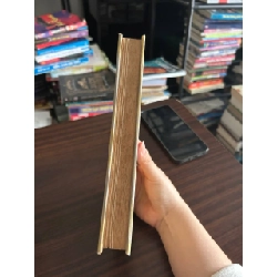 Quê mình xứ Nghệ - Mai Hồng Niên 932821