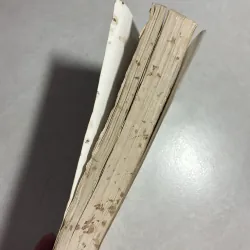 Việt Nam sử lược - Trần Trọng Kim 783178