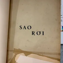 SAO RƠI - TRÚC SĨ 933785