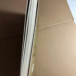 Vua xám nhã nam 562515