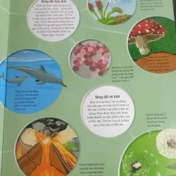 Vòng Đời - Vạn Vật Từ Khởi Đầu Cho Đến Kết Thúc 1009017