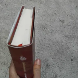 Lí thuyết và thi pháp văn học của GS Trần Đình Sử 1022469