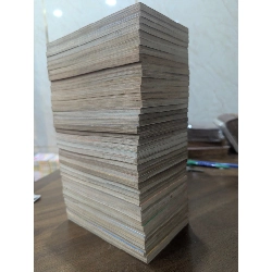 Pokemon hành trình Johto ( truyện chữ ) 761784