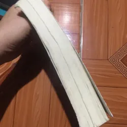 Tiểu thuyết ngôn tình trung quốc - Ngủ cùng sói - Diệp lạc vô tâm 714079