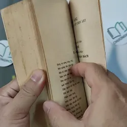 [XƯA] Cây Bút Vàng 2 (1999) 798305