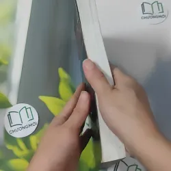 Bí Quyết Tay Trắng Thành Triệu Phú - Adam Khoo 1018948