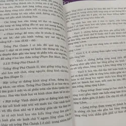 TRỐNG ĐỒNG KIỂU ĐÔNG SƠN Ở MIỀN NAM VIỆT NAM - PHẠM ĐỨC MẠNH 720826