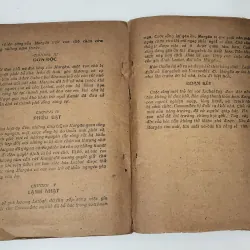 MARGAU (Tiểu thuyết của Xaphuan Saimerzenov) 791337