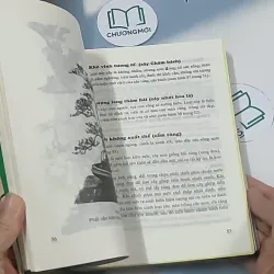 Bonsai: Cây dáng, thế và non bộ - Đỗ Hiệp 694948