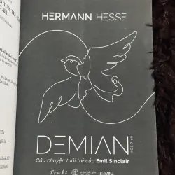 Combo Herman Hesse 996749