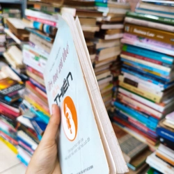 Trí tuệ xử thế của thiền 🌱 509966