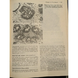 Novak's Textbook of Gynecology ( Eleventh Edition ) 1009444