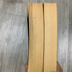 Mai phục vượt mặt - trương bình. Bộ 2 tập. 1a2.  507728