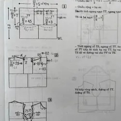 CẮT MAY CƠ BẢN 759948