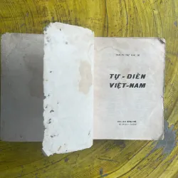 TỰ - ĐIỂN VIỆTNAM 1042977