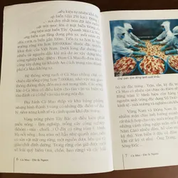 Cà Mau đất & người 431996