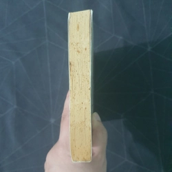 "Tình kiếp tam sinh" - Cửu Lộ Phi Hương 493144