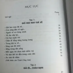 Cành Mai Sân Trước 674757