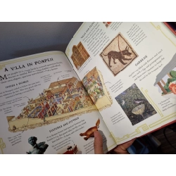 POMPEII : Picture Book (Usborne) 222627