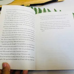 [Sách tiếng Anh 2hand] Like new 90% - 🪶 Geronimo – Joseph Bruchac 715186