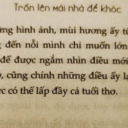 Sách - Trốn Lên Mái Nhà Để Khóc (AZ Việt Nam) 140000