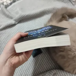 Nơi khu rừng chạm tới những vì sao 736303