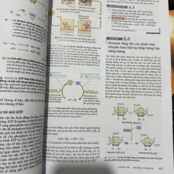 [Miễn ship] Sách Sinh Học Campbell Reece 707824