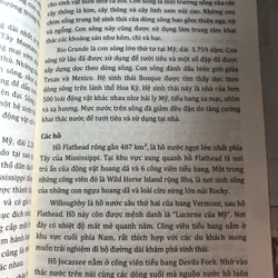 Tìm hiểu văn hoá Mỹ 728277