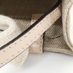 Túi xách mini Woody Chloe CHC22AP237 I26 608727