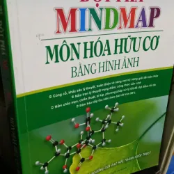 đột phá MINDMAP hoá hữu cơ bằng hình ảnh