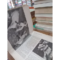 Le livre d'or des Chats 759549