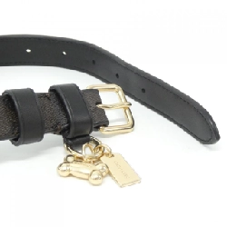 【Sản phẩm mới】Coach CH146 Màu sắc cho thú cưng 625804