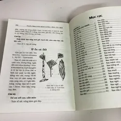 THUỐC NAM CHỮA BỆNH TỪ RAU - HOA - CỦ - QUẢ - RAU HOA CỦ LÀM THUỐC 603492