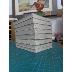 Kẻ dị biệt tại trường học phép thuật - Sato Tsutomu 334008