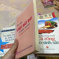 Tìm hiểu luật đất đai năm 2003 736368