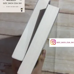 Trộm Mệnh trọn bộ 2 tập - Nhất Mai Đồng Tiền 751373