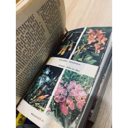 Encyclopédie universelle en 8 volumes (1963) 507882
