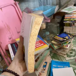 Đường tới thịnh vượng toàn cầu  800504