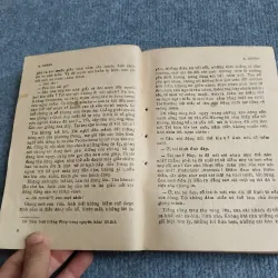 ALEXIS ZORBA CON NGƯỜI HOAN LẠC 701918