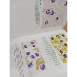 Atlas of Haematology - McDonald, Dodds, Cruickshank
