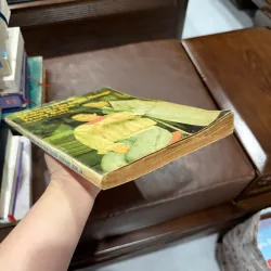 Kỹ Thuật Bấm Huyệt Massage Trong Gia Đình Trung Quốc – Wang CChuangui- K4 1019648