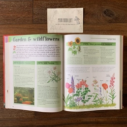Sách ngoại văn The Big Book of Knowledge, Used, Bìa cứng, Siêu dày 542211