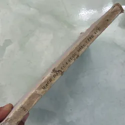 Mạch đập của cuộc sống vĩnh cửu - 1987s 996246