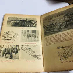 VẠN VẬT HỌC BAN GIÁO SƯ ALPHA - lớp 6 752713