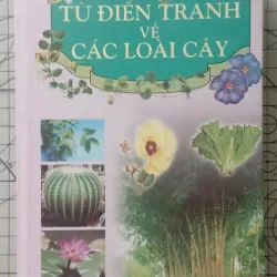 Từ điển tranh về các loài cây - Lê Quang Long 1024380